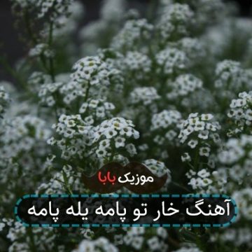 آهنگ خار تو پامه یله پامه