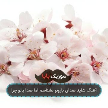 آهنگ شاید صدای بارونو نشناسم اما صدا پاتو چرا