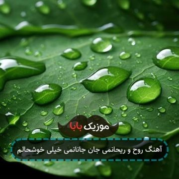 آهنگ روح و ریحانمی جان جانانمی خیلی خوشحالم آهنگ روح و ریحانمی جان جانانمی خیلی خوشحالم