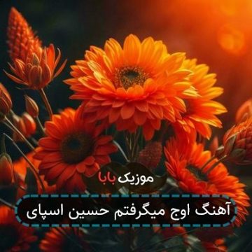 آهنگ باختم چه زود اوج میگرفتم ریمیکس