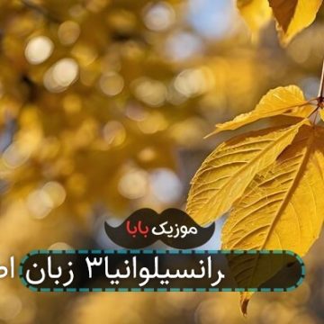 آهنگ هتل ترانسیلوانیا 3 حمله اختاپوس خارجی