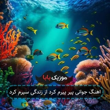 اهنگ جوانی پیر پیرم کرد از زندگی سیرم کرد اهنگ جوانی پیر پیرم کرد از زندگی سیرم کرد