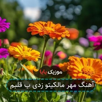 آهنگ ریشه کرد تو دلم عشق ناب تو ریمیکس آهنگ ریشه کرد تو دلم عشق ناب تو ریمیکس