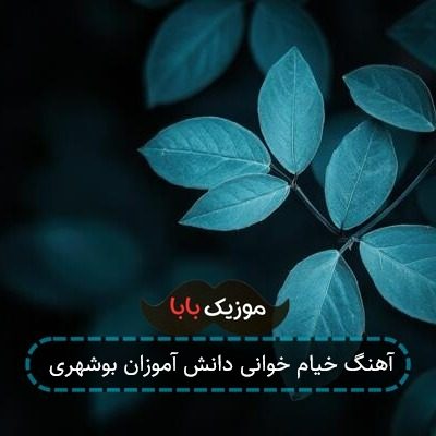آهنگ خیام خوانی دانش آموزان بوشهری