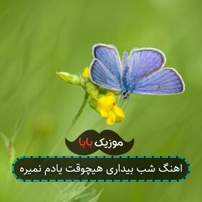 اهنگ شب بیداری هیچوقت یادم نمیره