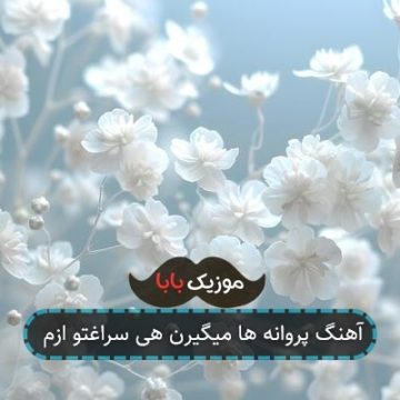 آهنگ پروانه ها میگیرن هی سراغتو ازم