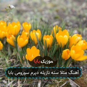 آهنگ مثلا سنه نازیله دیرم سوزومی بابا