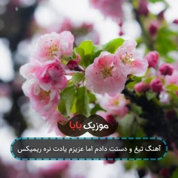 آهنگ تیغ و دستت دادم اما عزیزم یادت نره ریمیکس آهنگ تیغ و دستت دادم اما عزیزم یادت نره ریمیکس