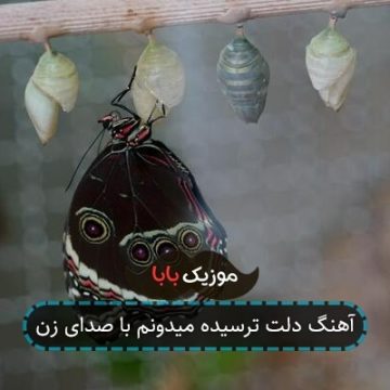 آهنگ دلت ترسیده میدونم با صدای زن آهنگ دلت ترسیده میدونم با صدای زن