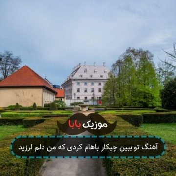آهنگ تو ببین چیکار باهام کردی که من دلم لرزید