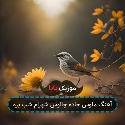 آهنگ ملوس جاده چالوس شهرام شب پره