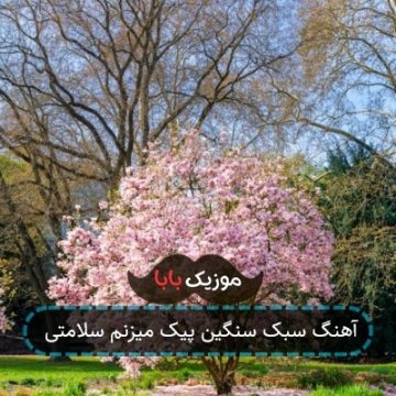 آهنگ سبک سنگین پیک میزنم سلامتی