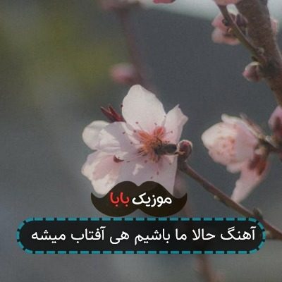 آهنگ حالا ما باشیم هی آفتاب میشه آهنگ حالا ما باشیم هی آفتاب میشه