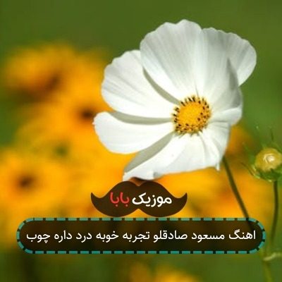 اهنگ مسعود صادقلو تجربه خوبه درد داره چوب اهنگ مسعود صادقلو تجربه خوبه درد داره چوب