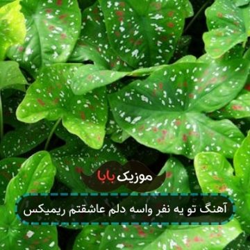آهنگ تو یه نفر واسه دلم عاشقتم ریمیکس
