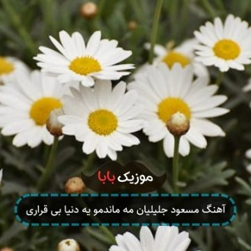 آهنگ مسعود جلیلیان مه ماندمو یه دنیا بی قراری آهنگ مسعود جلیلیان مه ماندمو یه دنیا بی قراری