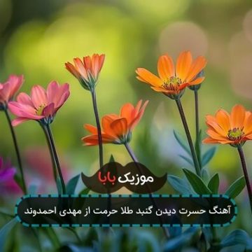 آهنگ حسرت دیدن گنبد طلا حرمت از مهدی احمدوند