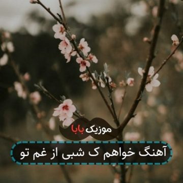 آهنگ خواهم ک شبی از غم تو آهنگ خواهم ک شبی از غم تو