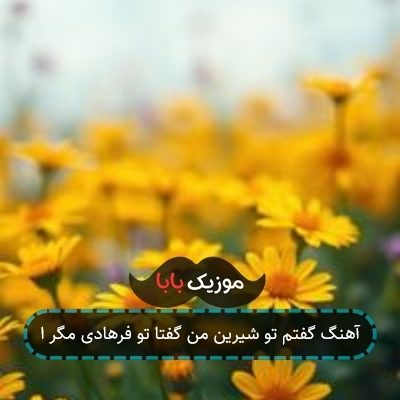 آهنگ گفتم تو شیرین من گفتا تو فرهادی مگر ا آهنگ گفتم تو شیرین من گفتا تو فرهادی مگر ا