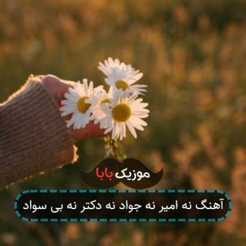آهنگ نه امیر نه جواد نه دکتر نه بی سواد