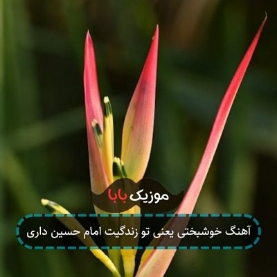 آهنگ خوشبختی یعنی تو زندگیت امام حسین داری آهنگ خوشبختی یعنی تو زندگیت امام حسین داری