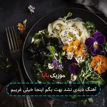 آهنگ دیدی نشد بهت بگم اینجا خیلی غریبم