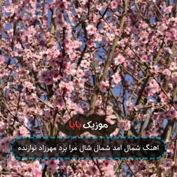 اهنگ شمال امد شمال شال مرا برد مهرزاد نوازنده اهنگ شمال امد شمال شال مرا برد مهرزاد نوازنده