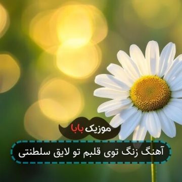 اهنگ توی قلبم تو لایق سلطنتی ریمیکس