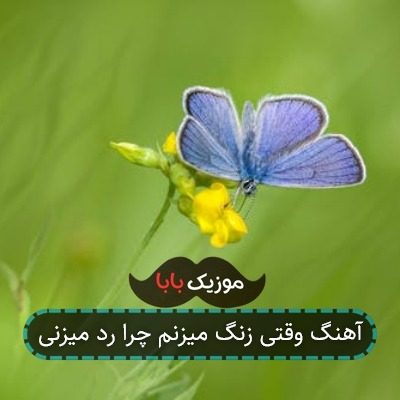 آهنگ وقتی زنگ میزنم چرا رد میزنی