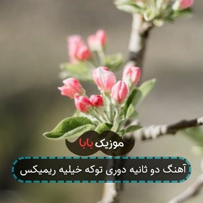 آهنگ دو ثانیه دوری توکه خیلیه ریمیکس آهنگ دو ثانیه دوری توکه خیلیه ریمیکس
