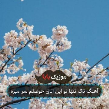 آهنگ تک تنها تو این اتاق حوصلم سر میره