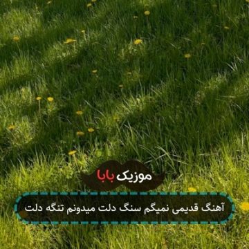 آهنگ قدیمی نمیگم سنگ دلت میدونم تنگه دلت