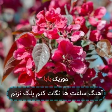 آهنگ ساعت ها نگات کنم پلک نزنم