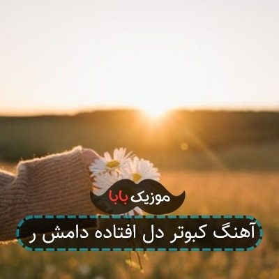 آهنگ کبوتر دل افتاده دامش ر آهنگ کبوتر دل افتاده دامش ر