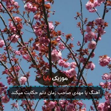 آهنگ یا مهدی صاحب زمان دلم حکایت میکند