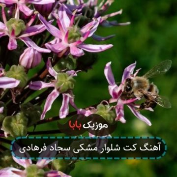 آهنگ کت شلوار مشکی سجاد فرهادی آهنگ کت شلوار مشکی سجاد فرهادی