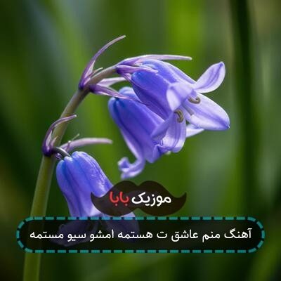 آهنگ منم عاشق ت هستمه امشو سیو مستمه ریمیکس