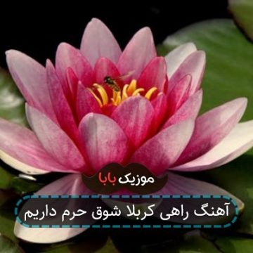 آهنگ راهی کربلا شوق حرم داریم آهنگ راهی کربلا شوق حرم داریم