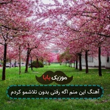 آهنگ این منم اگه رفتی بدون تلاشمو کردم