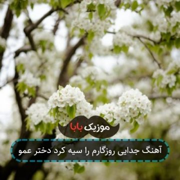 آهنگ جدایی روزگارم را سیه کرد دختر عمو