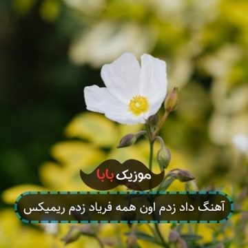 آهنگ داد زدم اون همه فریاد زدم ریمیکس