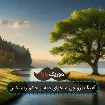 آهنگ برو چی میخوای دیه از جانم ریمیکس