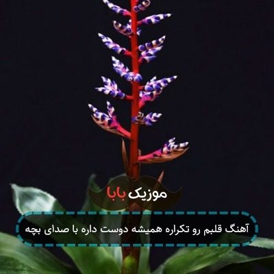 آهنگ قلبم رو تکراره همیشه دوست داره با صدای بچه