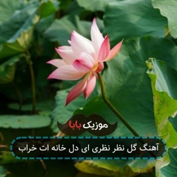 آهنگ ای دل گفتمت بمان پس چه شد قرارمان