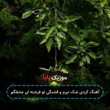 آهنگ جدید رضا کرمی تارا شک نیرم و قشنگیت