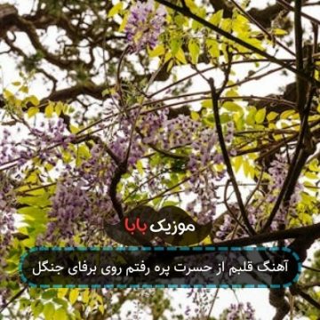 آهنگ قلبم از حسرت پره رفتم روی برفای جنگل