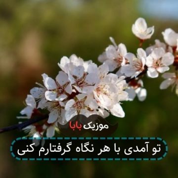 تو آمدی با هر نگاه گرفتارم کنی
