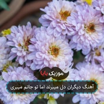 آهنگ دیگران دل میبرند اما تو جانم میبری آهنگ دیگران دل میبرند اما تو جانم میبری