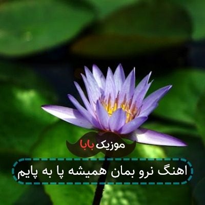 اهنگ نرو بمان همیشه پا به پایم اهنگ نرو بمان همیشه پا به پایم