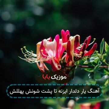 آهنگ یار دلدار ایزنه تا پشت شونش پهللش